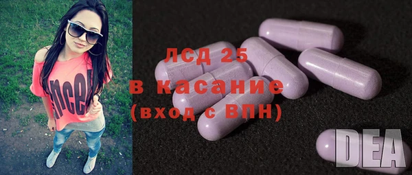 эйфоретик Покачи