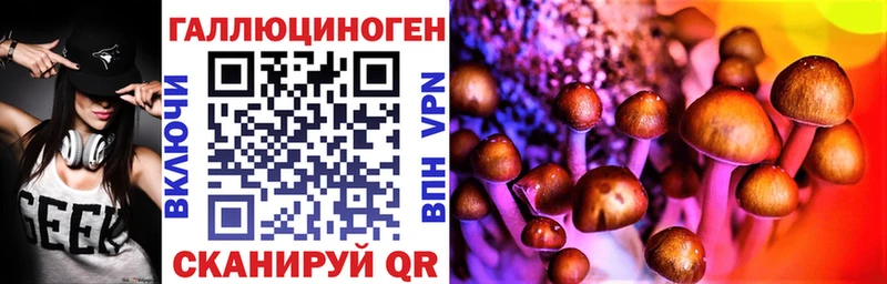 omg сайт Дубовка Псилоцибиновые грибы Psilocybe